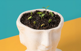 ‘오버스펙 인재’ 성과 꽃피우려면
개인 코칭-팀 비전 공유 병행해야