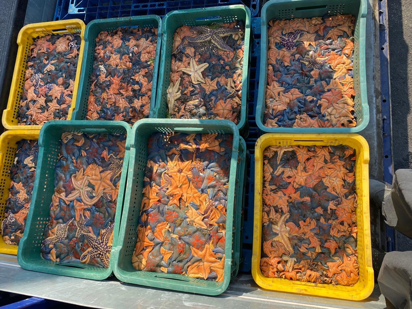 스타스테크 “해양 생태계 문제를 혁신 기술로 해결합니다” [SBA 초격차]