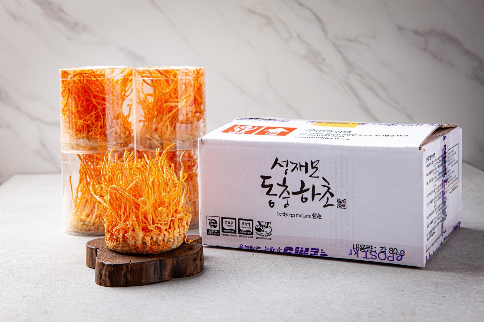 41년 한 우물… 현미로 동충하초 대량생산