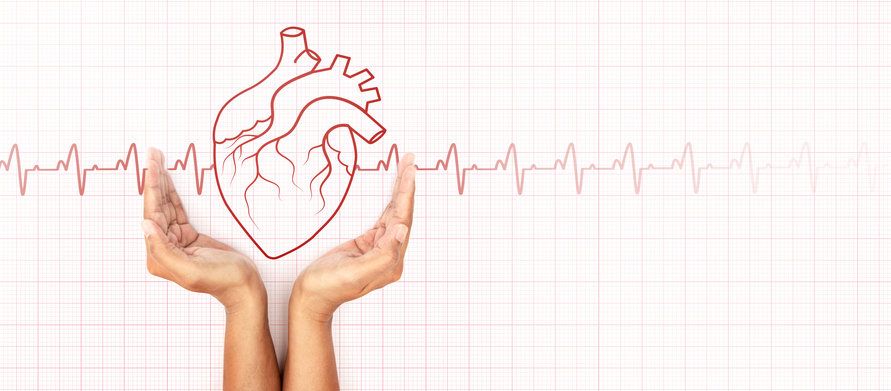 “알부민 10g 감소 땐 사망 위험 137% 급증”